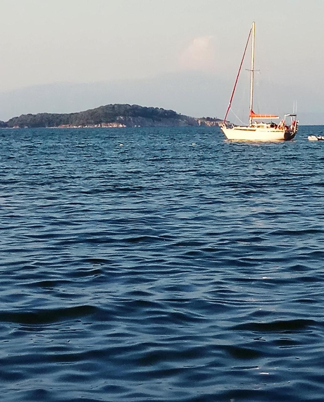 Villa Pavlina Ολυμπιάδα Εξωτερικό φωτογραφία